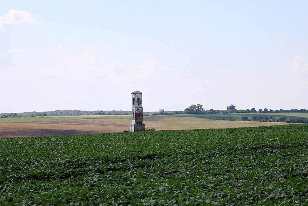Фотографія Вежа (сторожова) / Віталій Шафранський / photographers.ua