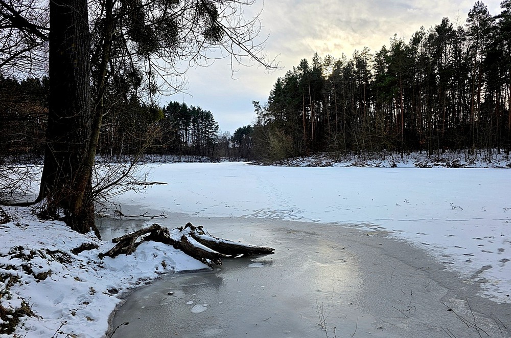 Фотографія Пейзаж / Віталій Шафранський / photographers.ua
