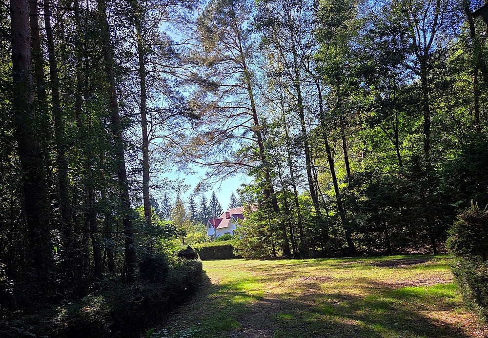 Фотографія Клесівський дендропарк / Віталій Шафранський / photographers.ua