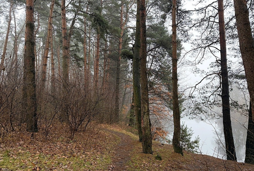 Фотографія Пейзаж / Віталій Шафранський / photographers.ua