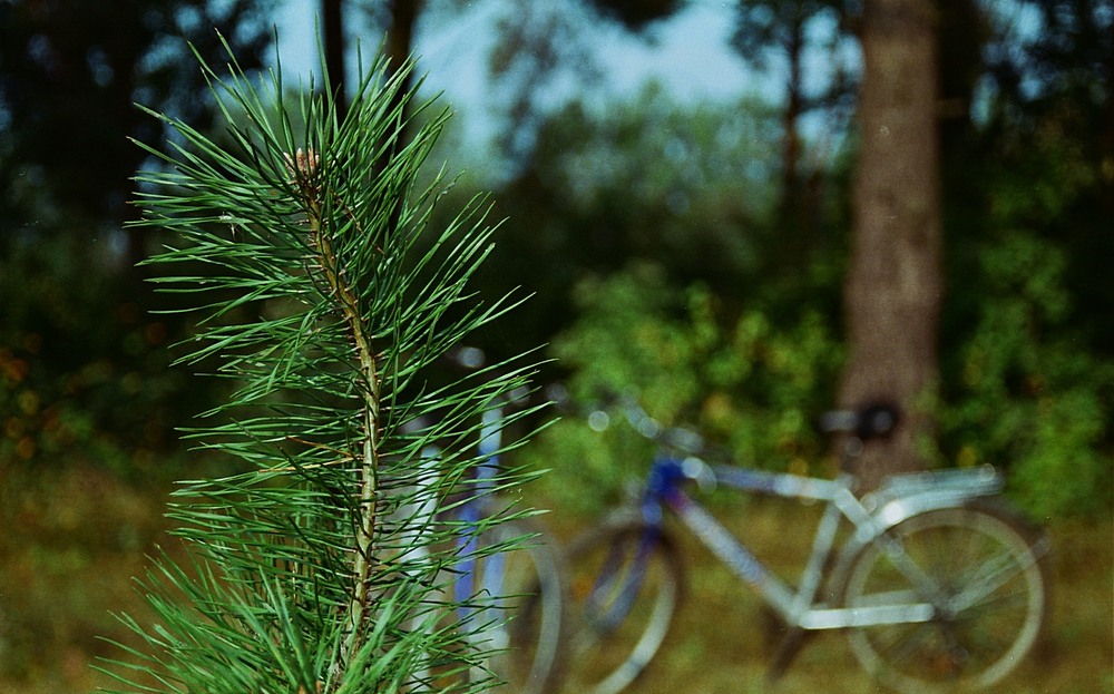 Фотографія Разное / Віталій Шафранський / photographers.ua