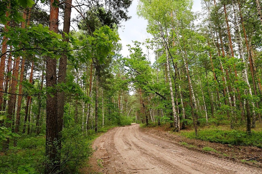Фотографія Пейзаж / Віталій Шафранський / photographers.ua