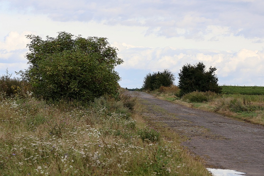 Фотографія Пейзаж / Віталій Шафранський / photographers.ua