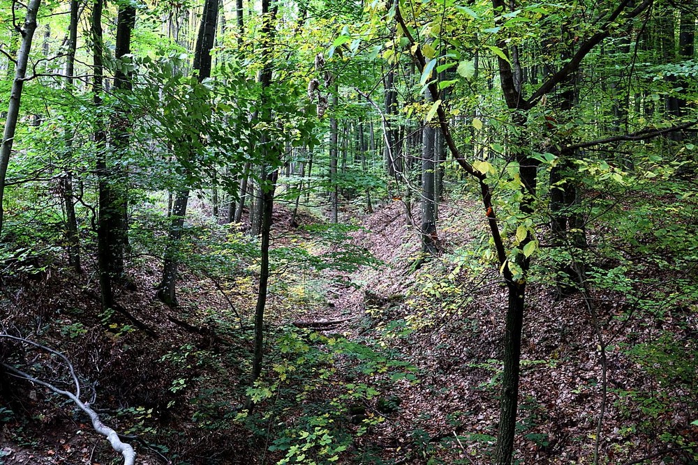 Фотографія Разное / Віталій Шафранський / photographers.ua