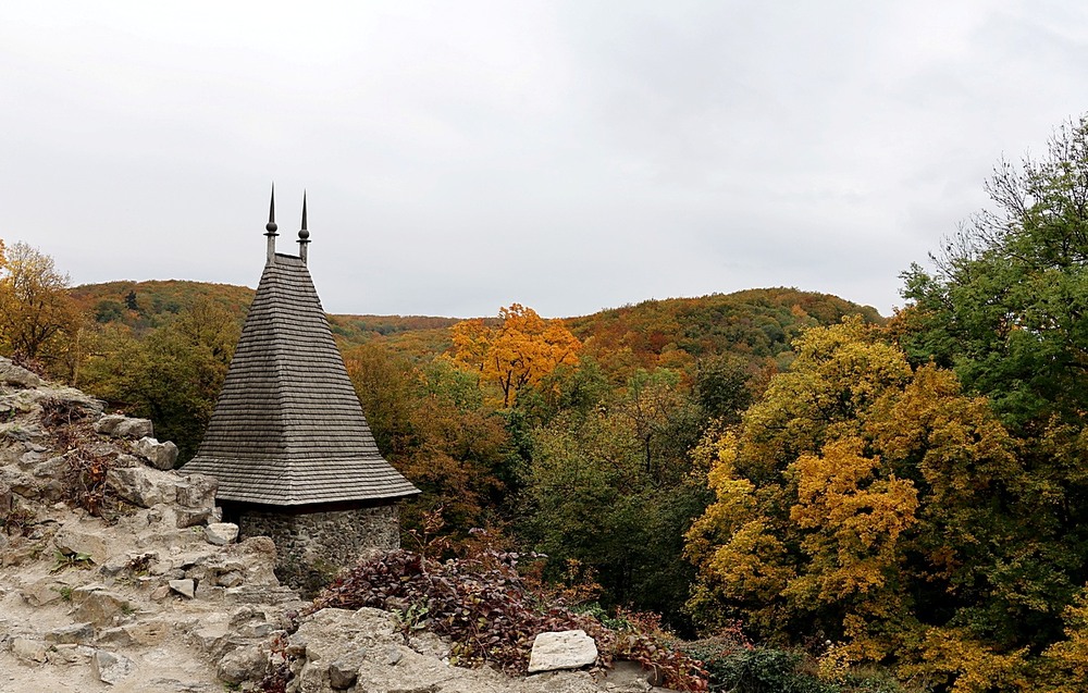 Фотографія Невицький замок / Віталій Шафранський / photographers.ua