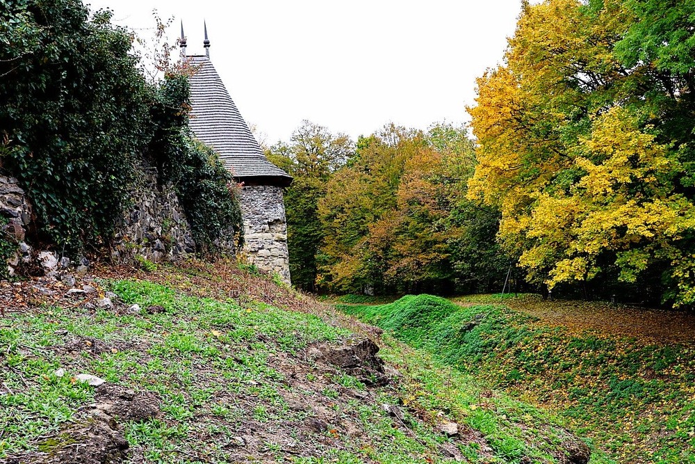 Фотографія Невицький замок / Віталій Шафранський / photographers.ua