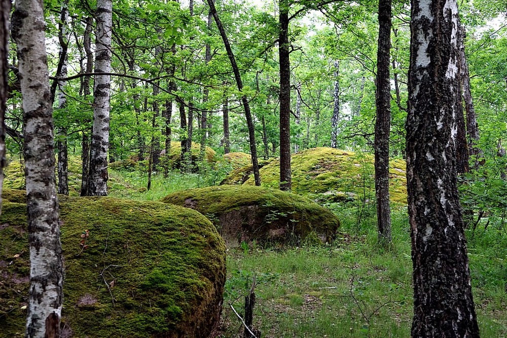Фотографія Камінне Село / Віталій Шафранський / photographers.ua