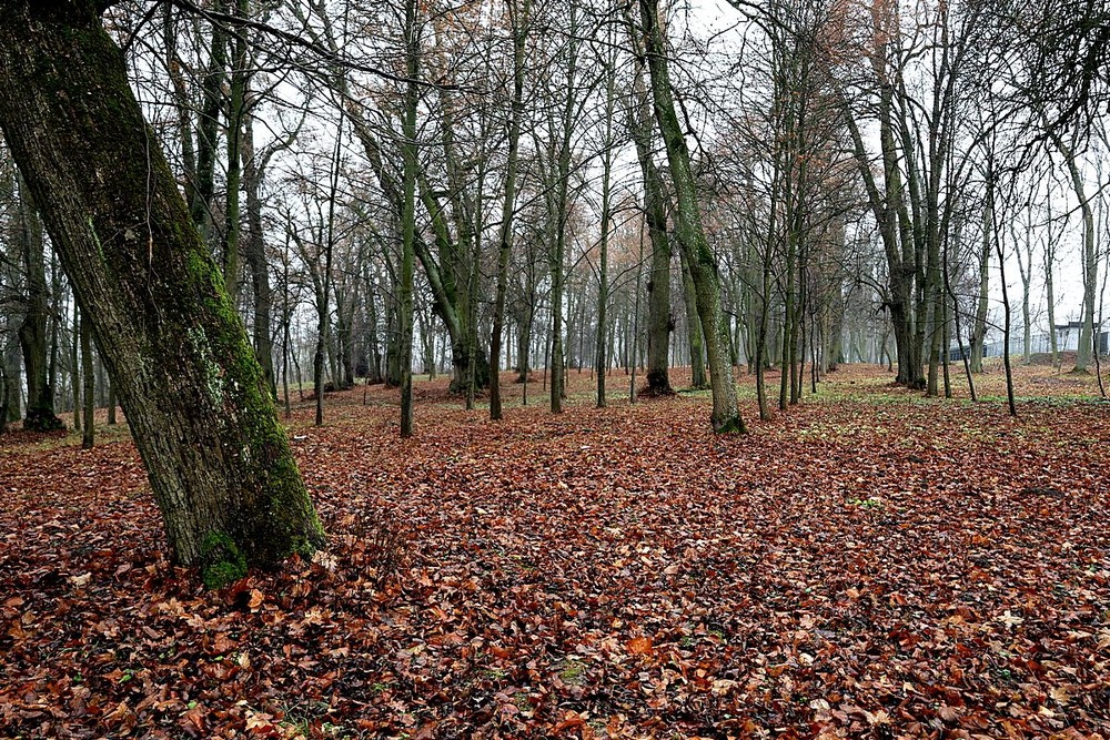 Фотографія Путешествие / Віталій Шафранський / photographers.ua