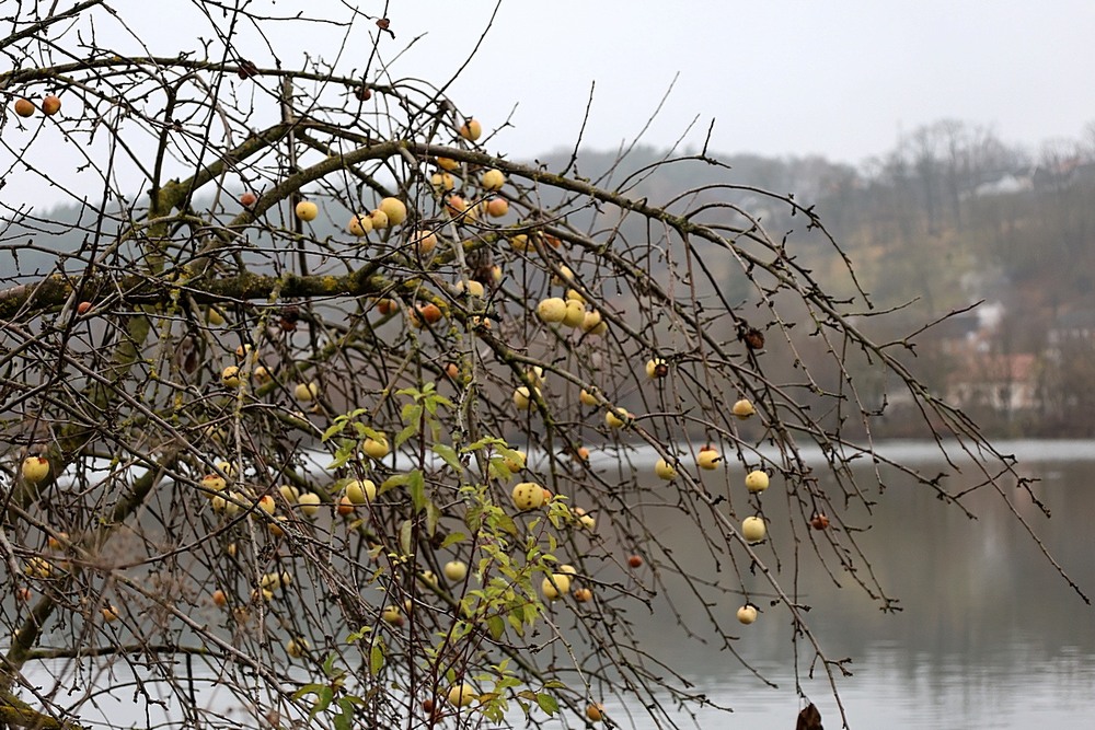 Фотографія Разное / Віталій Шафранський / photographers.ua
