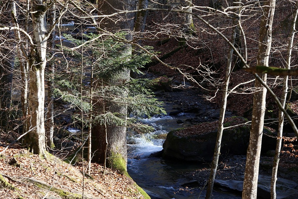 Фотографія Пейзаж / Віталій Шафранський / photographers.ua