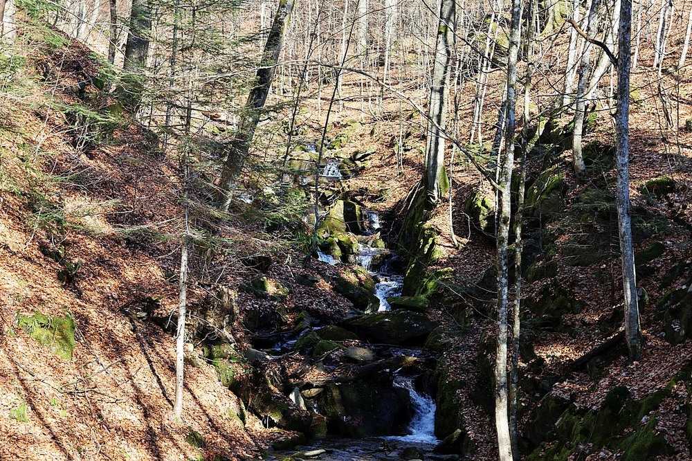 Фотографія Путешествие / Віталій Шафранський / photographers.ua