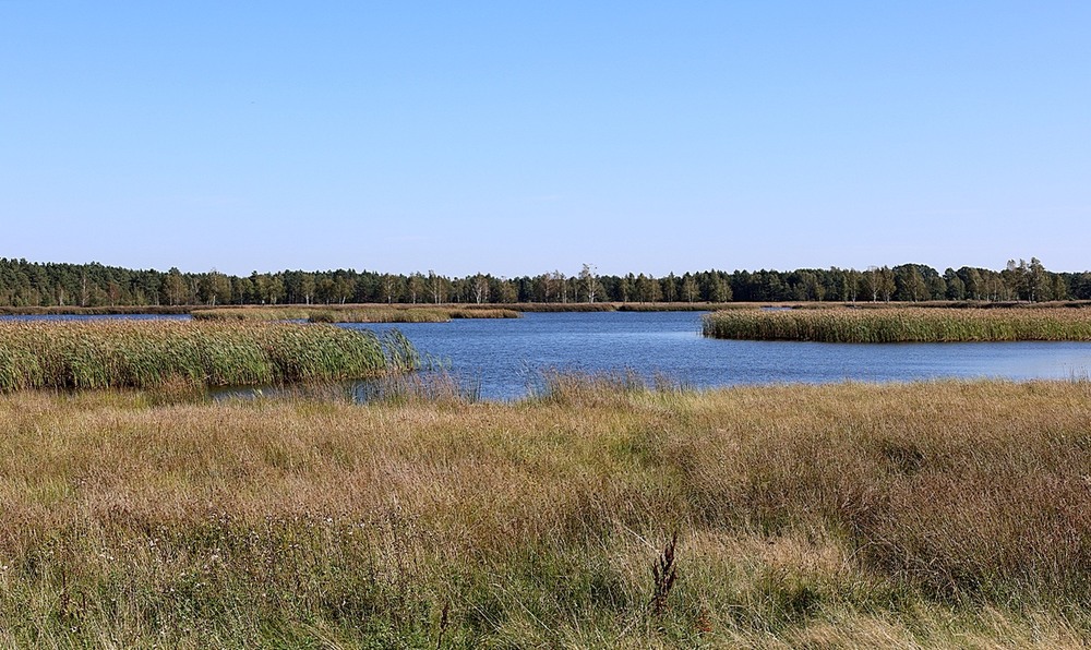 Фотографія Пейзаж / Віталій Шафранський / photographers.ua