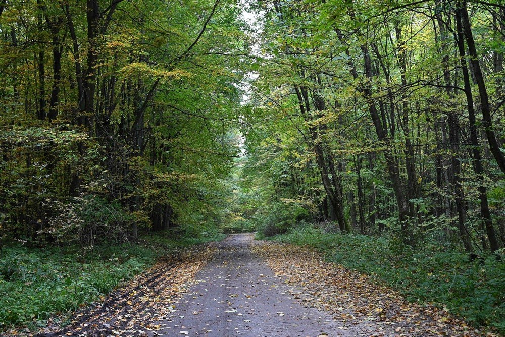 Фотографія Путешествие / Віталій Шафранський / photographers.ua