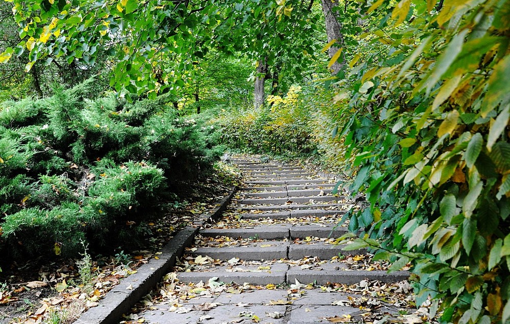 Фотографія Гламур / Віталій Шафранський / photographers.ua