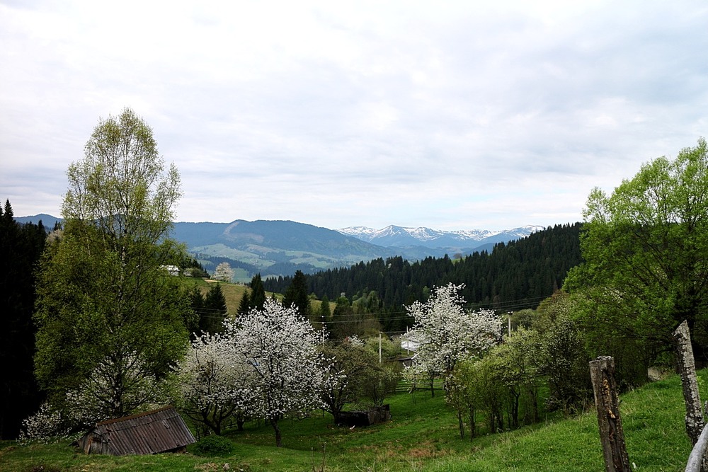 Фотографія Путешествие / Віталій Шафранський / photographers.ua