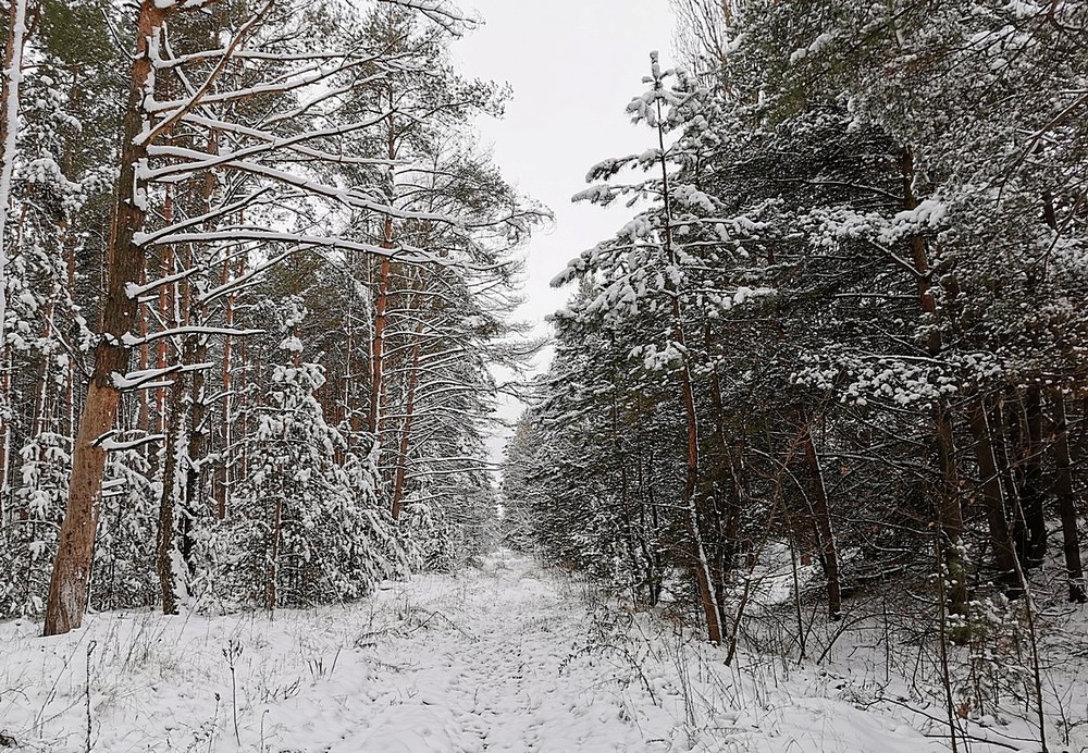Фотографія Разное / Віталій Шафранський / photographers.ua