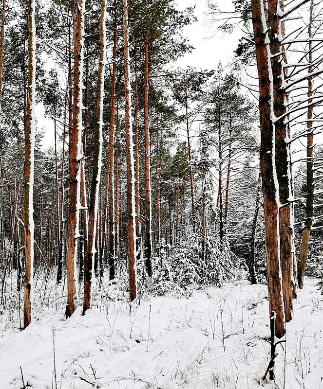 Фотографія Разное / Віталій Шафранський / photographers.ua