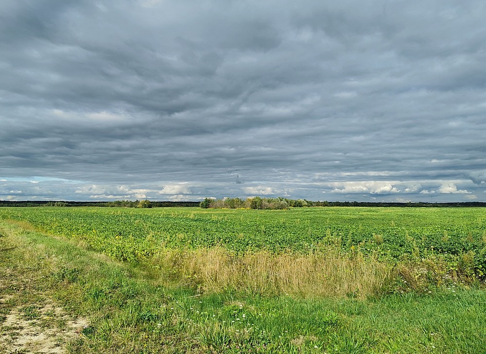 Фотографія Перед дощем / Віталій Шафранський / photographers.ua