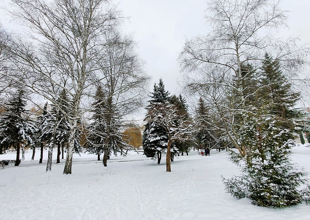 Фотографія Пейзаж / Віталій Шафранський / photographers.ua