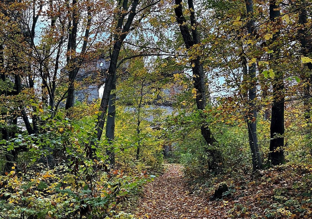 Фотографія Замок Гербуртів / Віталій Шафранський / photographers.ua