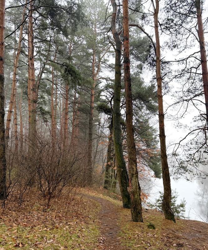 Фотографія Разное / Віталій Шафранський / photographers.ua