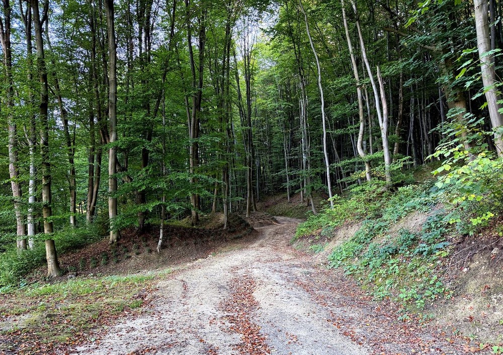 Фотографія Путешествие / Віталій Шафранський / photographers.ua