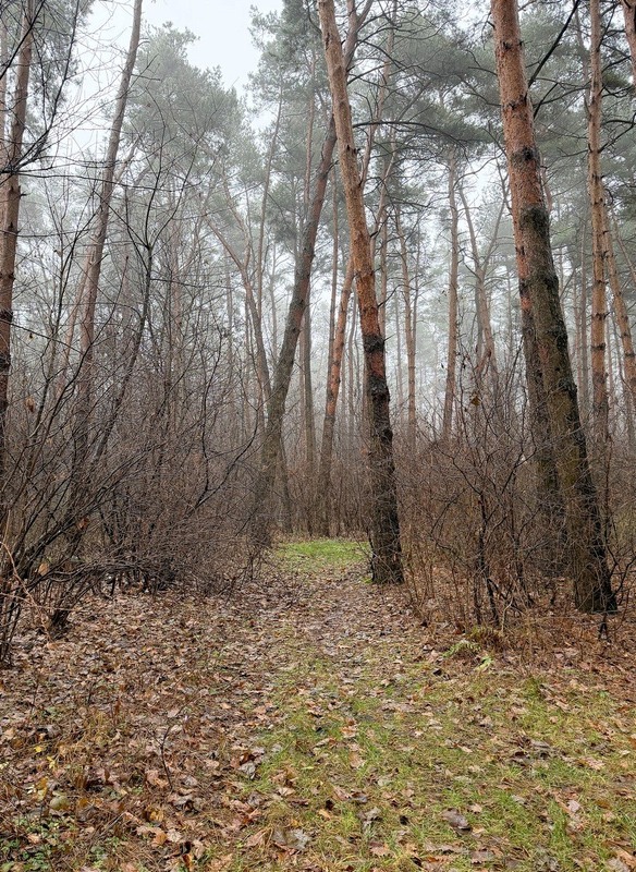 Фотографія Разное / Віталій Шафранський / photographers.ua