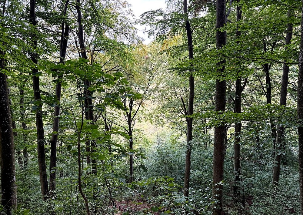 Фотографія Путешествие / Віталій Шафранський / photographers.ua