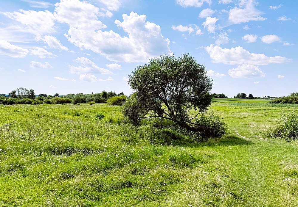 Фотографія Разное / Віталій Шафранський / photographers.ua
