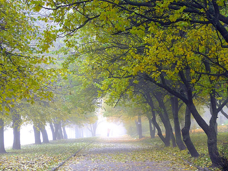 Фотографія Пейзаж / Віталій Шафранський / photographers.ua
