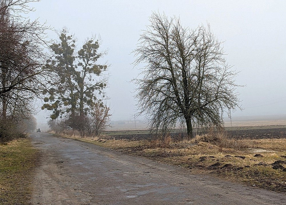 Фотографія Початок весни. / Віталій Шафранський / photographers.ua