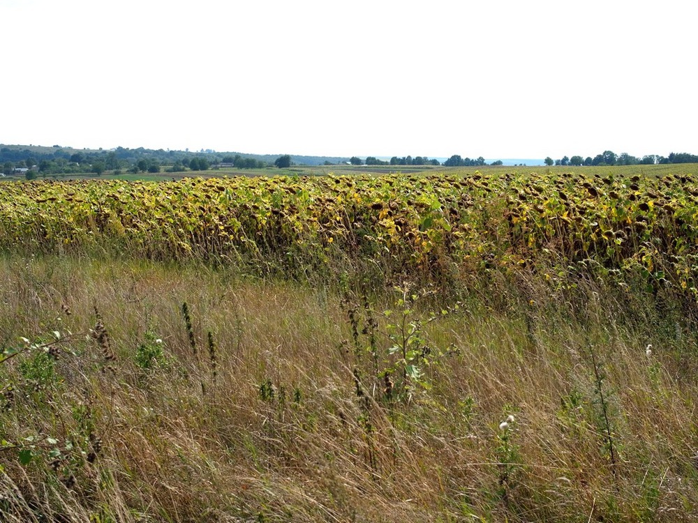 Фотографія Путешествие / Віталій Шафранський / photographers.ua