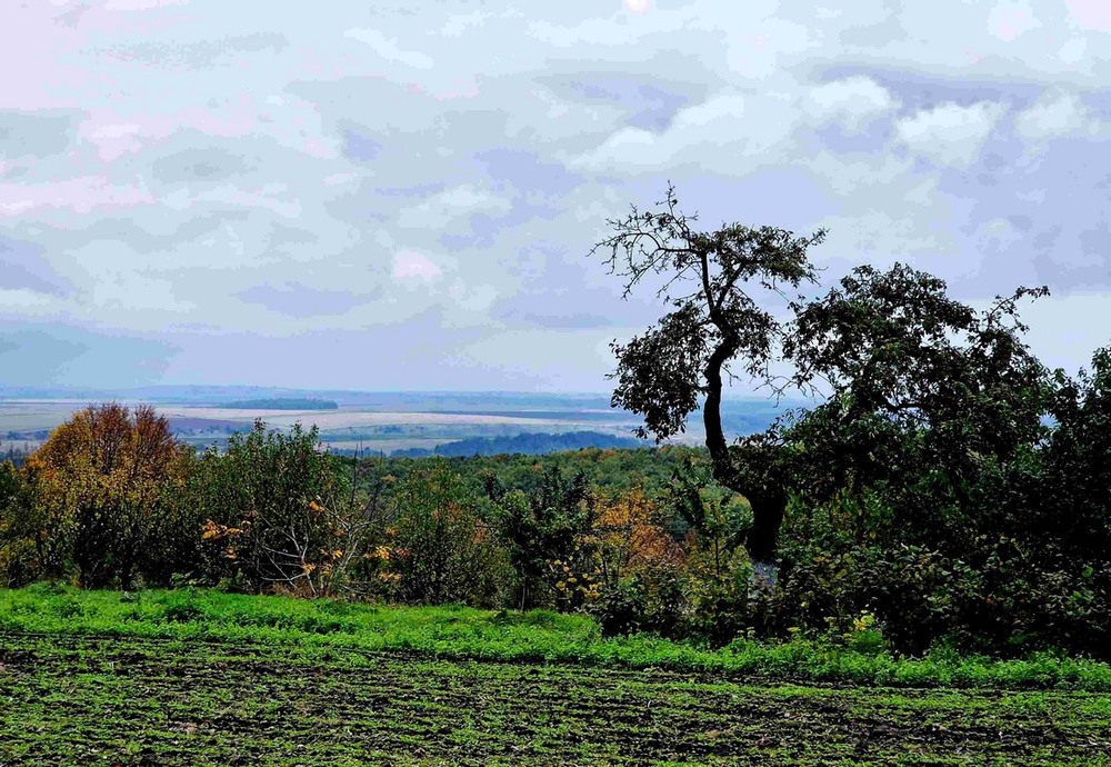 Фотографія Пейзаж / Віталій Шафранський / photographers.ua