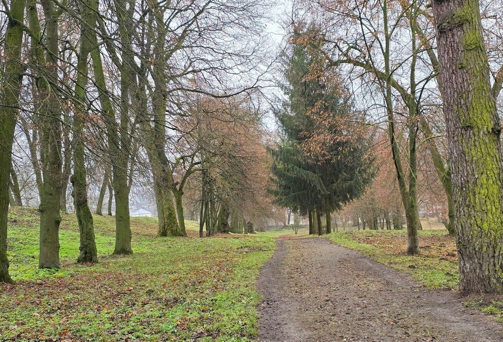 Фотографія Пейзаж / Віталій Шафранський / photographers.ua