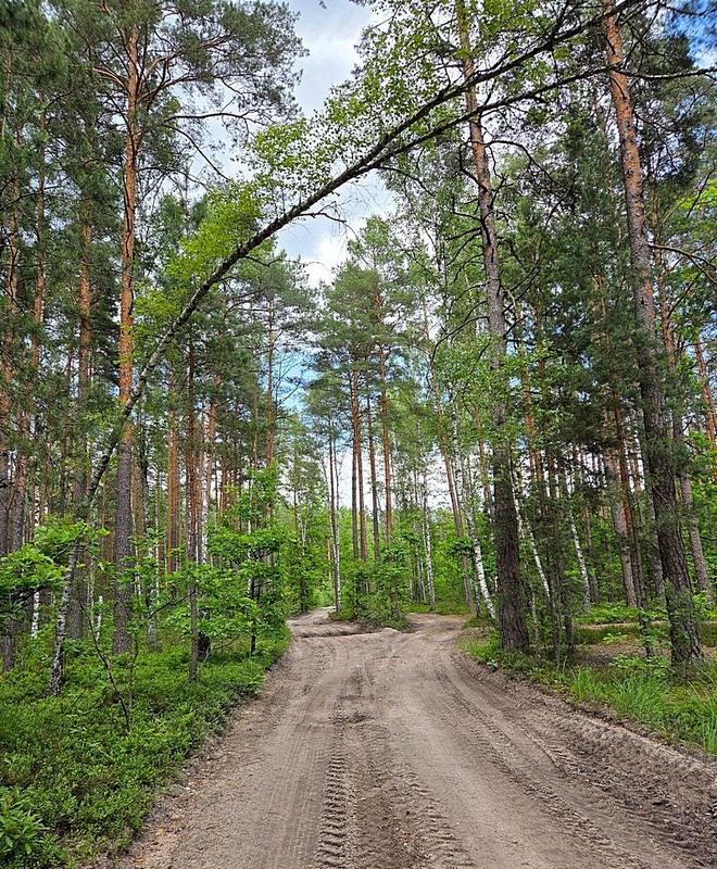 Фотографія Путешествие / Віталій Шафранський / photographers.ua