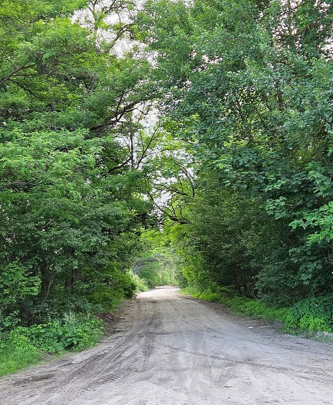 Фотографія Путешествие / Віталій Шафранський / photographers.ua