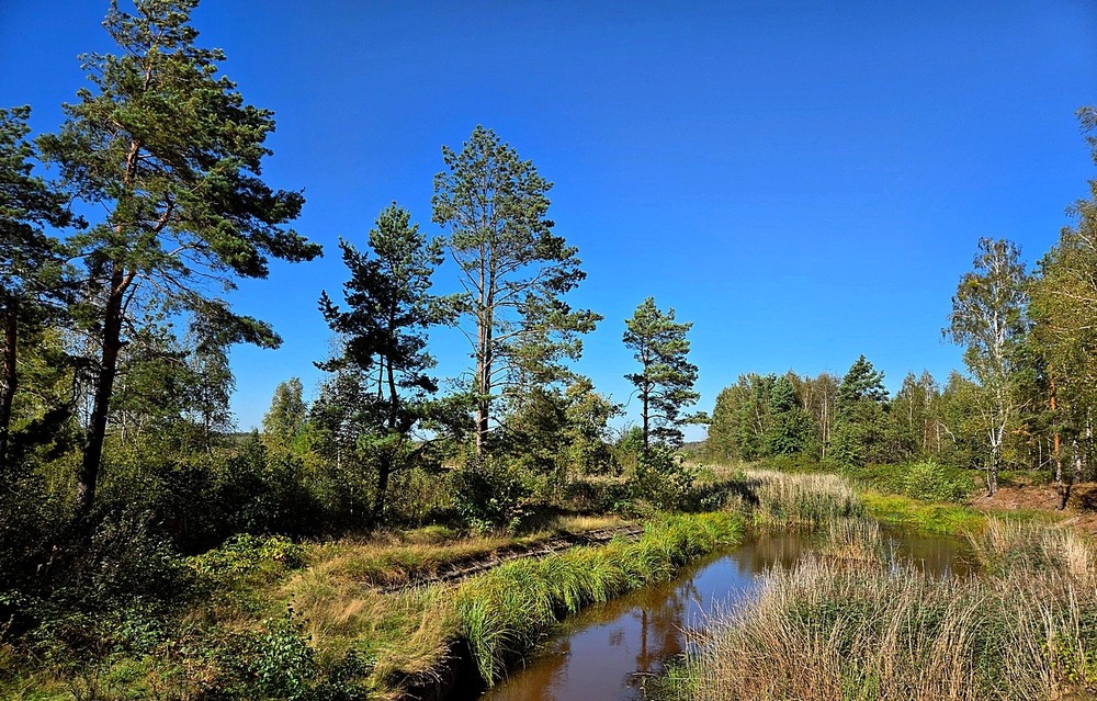Фотографія Пейзаж / Віталій Шафранський / photographers.ua
