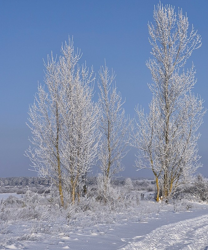 Фотографія Пейзаж / Віталій Шафранський / photographers.ua