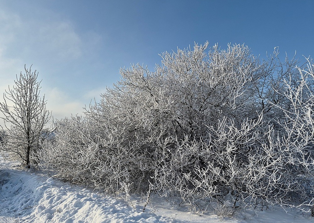 Фотографія Пейзаж / Віталій Шафранський / photographers.ua