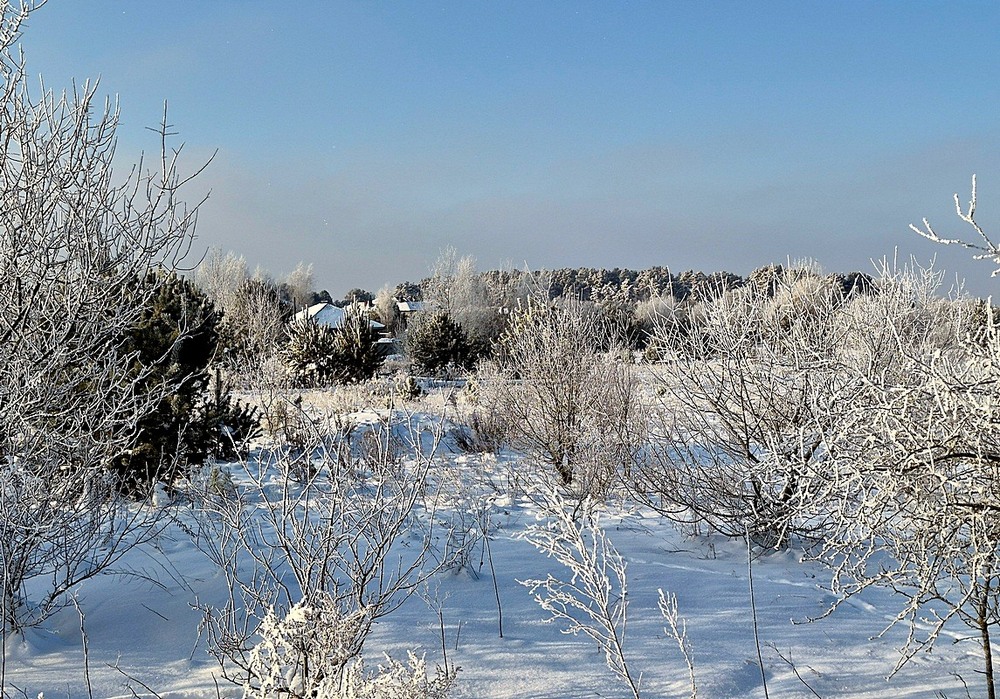 Фотографія Разное / Віталій Шафранський / photographers.ua