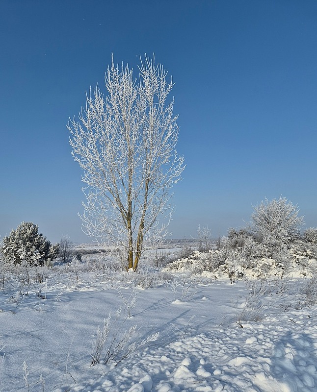 Фотографія Пейзаж / Віталій Шафранський / photographers.ua