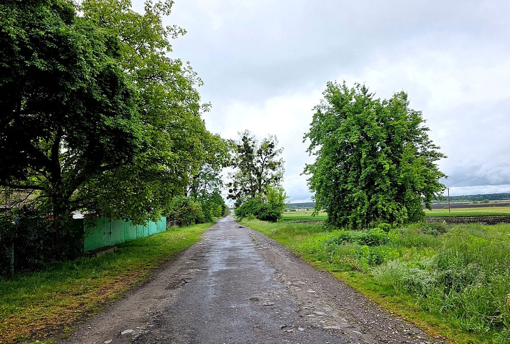 Фотографія Пейзаж / Віталій Шафранський / photographers.ua