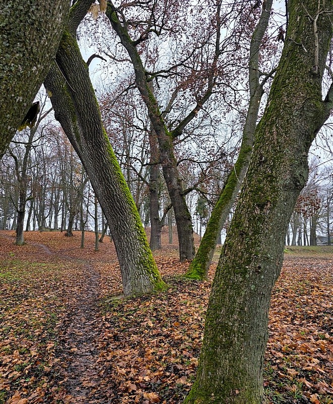 Фотографія Разное / Віталій Шафранський / photographers.ua