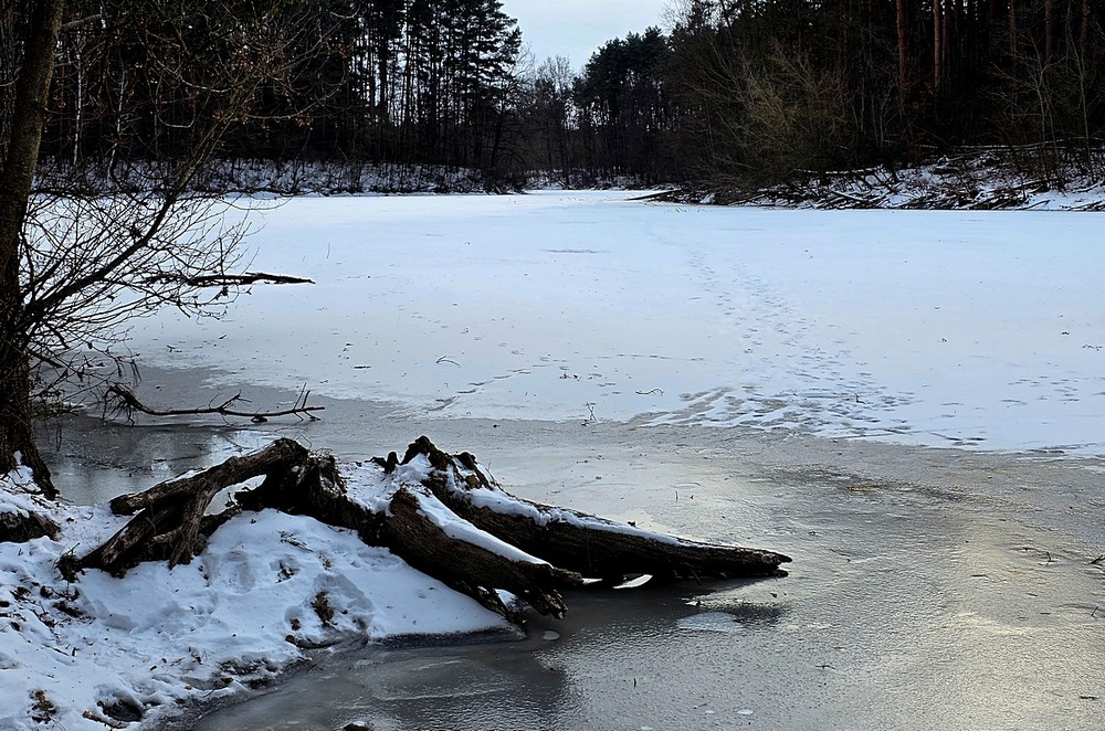 Фотографія Пейзаж / Віталій Шафранський / photographers.ua