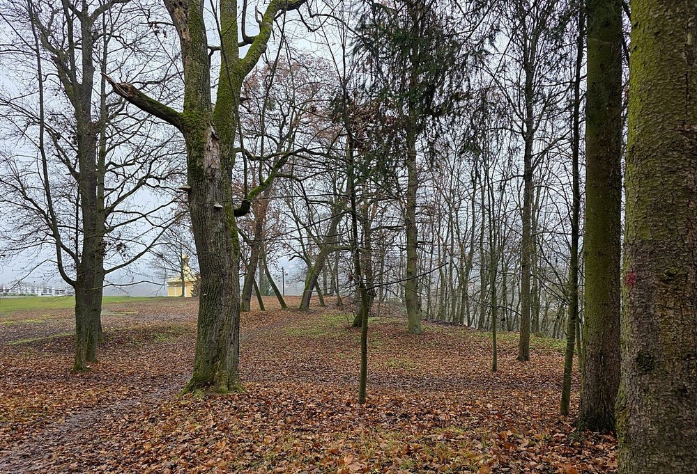 Фотографія Парк / Віталій Шафранський / photographers.ua