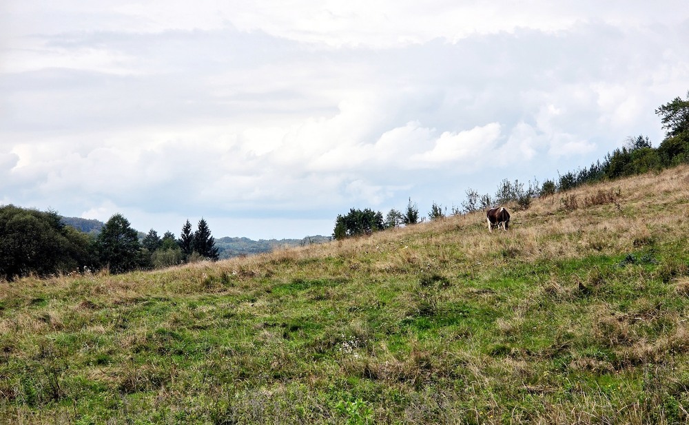 Фотографія Пейзаж / Віталій Шафранський / photographers.ua