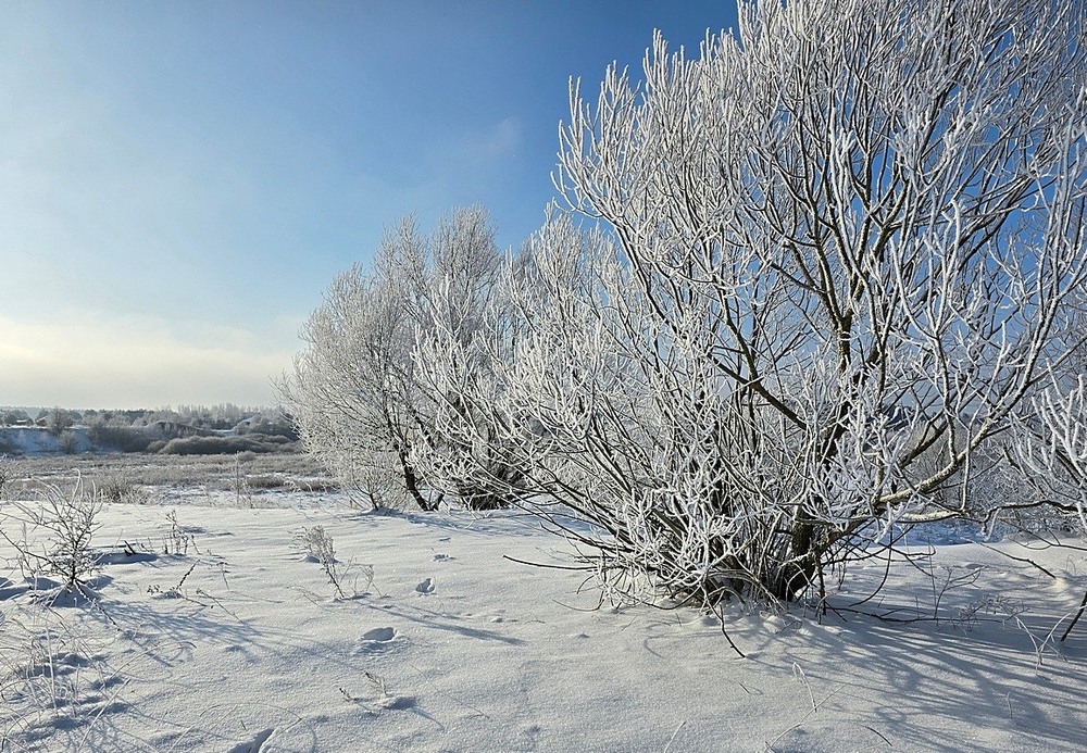 Фотографія Пейзаж / Віталій Шафранський / photographers.ua