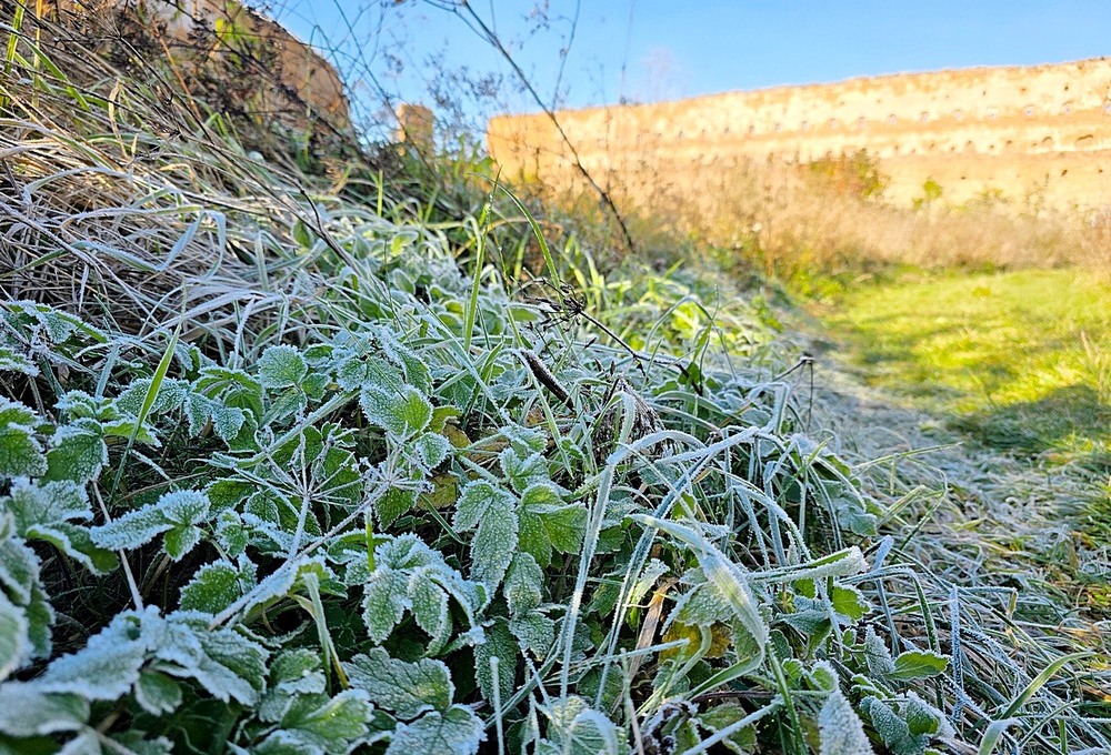 Фотографія Разное / Віталій Шафранський / photographers.ua