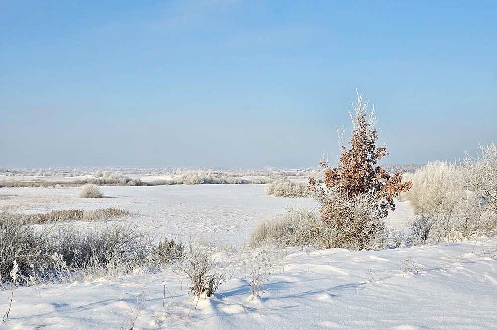 Фотографія Пейзаж / Віталій Шафранський / photographers.ua