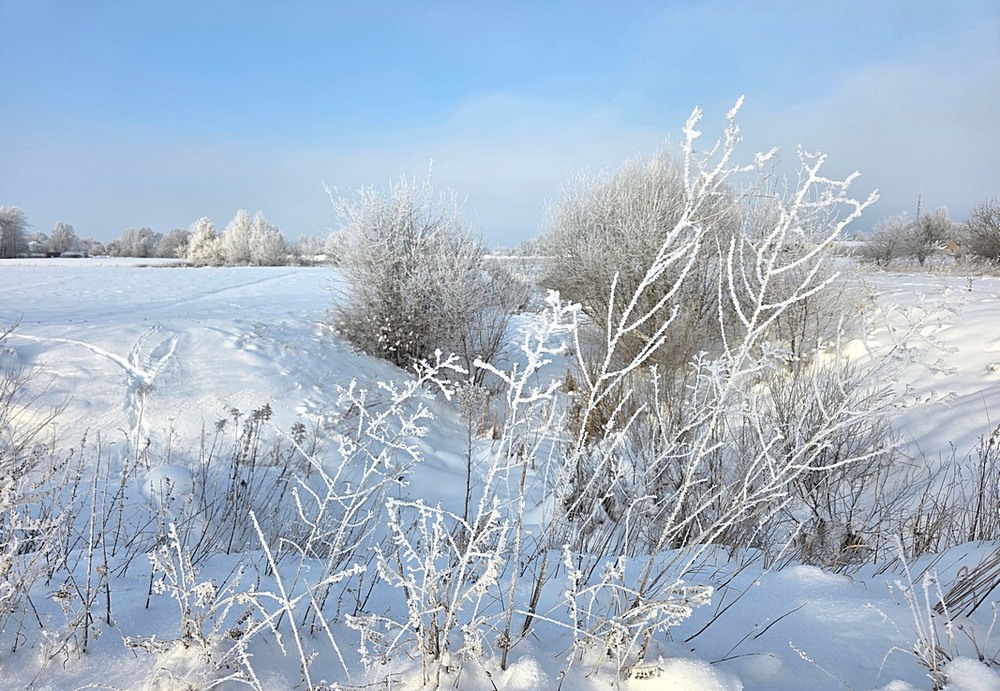 Фотографія Пейзаж / Віталій Шафранський / photographers.ua